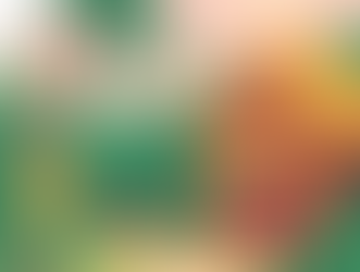 Hostel da Vila: um case de sucesso brasileiro em ESG, inovação e marketing estratégico no turismo sustentável