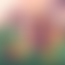 Limpeza e Higienização em Hostels: Padrões e Boas Práticas para Garantir Conforto e Segurança