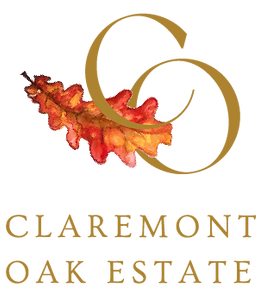 251105 logo_ctext_lores.png