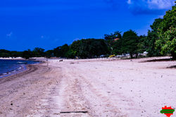 Cajueiro (02)