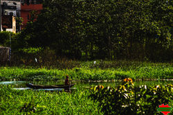 Parque Rio Negro (01)