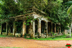 Paricatuba (02)