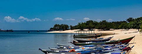 Pará.jpg