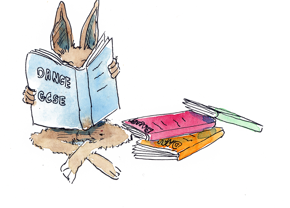 GCSE Dance Annual Showcase 2026