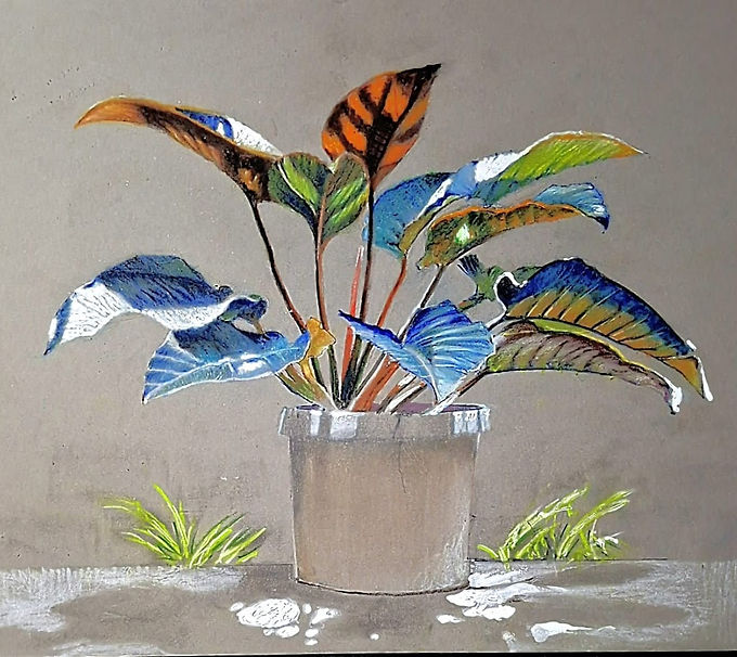 Luz Pastel 12x18 2026.jpg