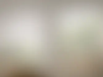 Roller shade and a blind comparison photo