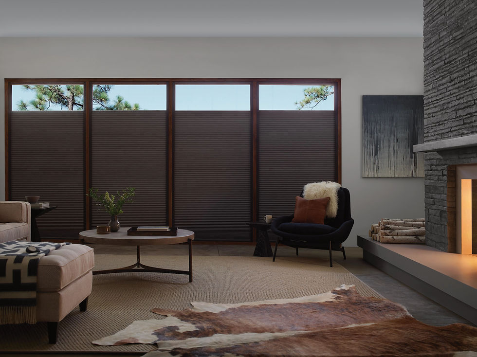 Duette Cellular Shades with Light Block in a living room