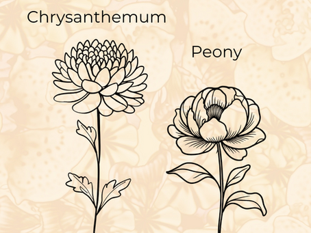 November birth flowers: Chrysanthemum and Peony sketches on floral background with November text. Notes their meanings: gratitude, friendship, love, prosperity, courage.