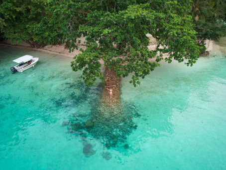 Einsame Bucht auf Palau