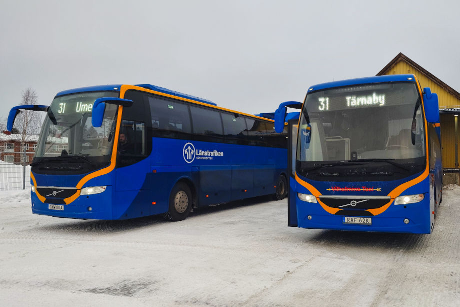 Zwei Busse in Schweden
