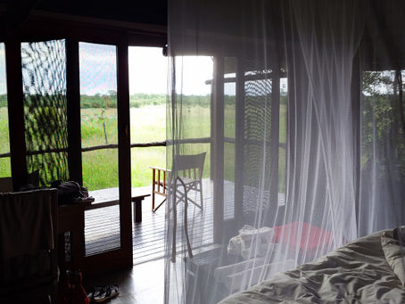 Kapula Camp Safari Tent