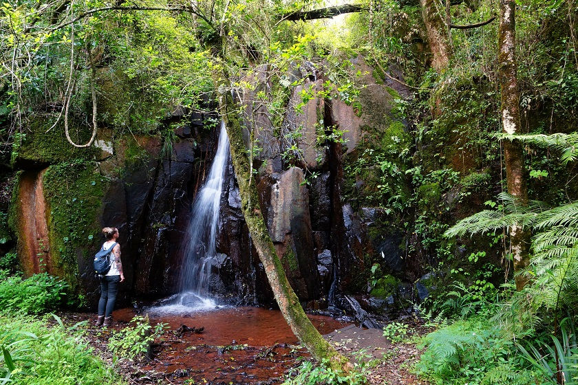 Elna Falls - Panorama Route