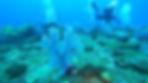 Tauchen am Djabenda Wrack - Mauritius