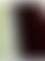 Christie’s Presents “Birth of the Modern: The Arnold and Joan Saltzman Collection”