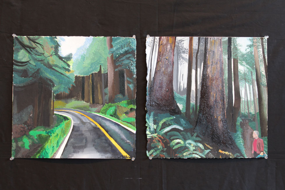 Olympic National Park Paintings