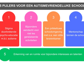 Vijf pijlers voor een autismevriendelijke school