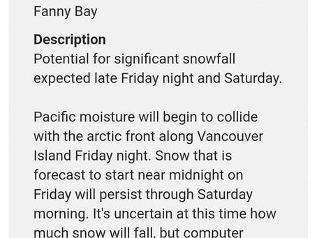 Dreaming....scheming and all things in between!