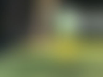 Old and new friends!