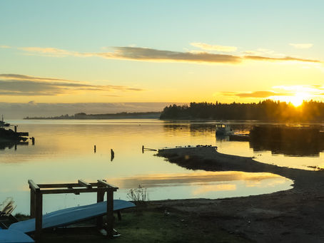 Lunch bag let down again!