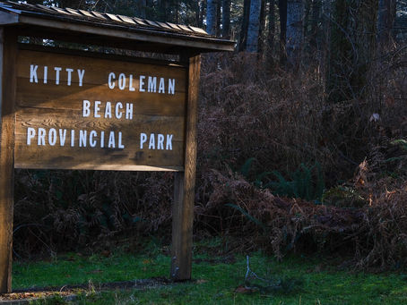 Is that a search and rescue operation?