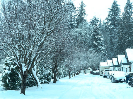 It feels like spring!