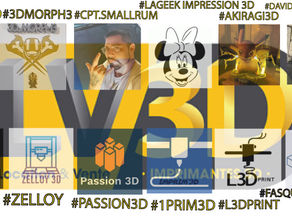 Les partenaires LV3D TIK TOK : une liste à découvrir !