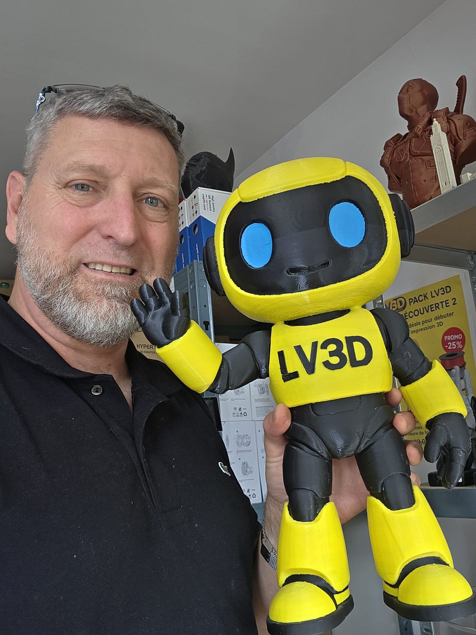 Imprimez le Robot LV3D