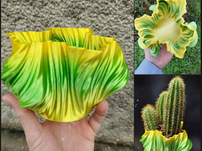 TEST du du filament ROSA3D - ARC-EN-CIEL JUNGLE SILK - RAINBOW -