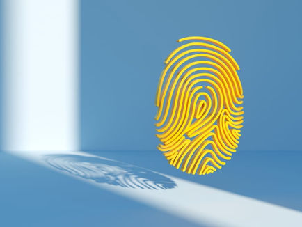 Blockchain Identity: Rewriting the Rules of Trust in an AI-Driven Hiring Crisis