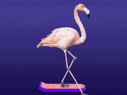 Flamingo DAO’s $100M+ NFT Empire: Snoop Dogg and the Art of Digital Collecting