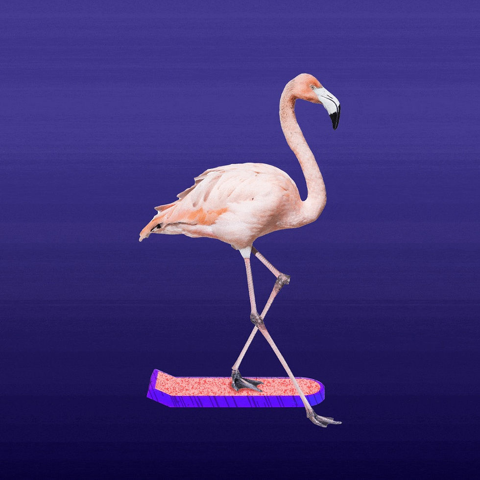 Flamingo DAO’s $100M+ NFT Empire: Snoop Dogg and the Art of Digital Collecting