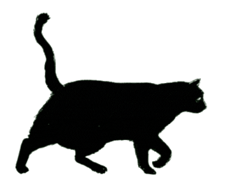 output-onlinegiftools.gif