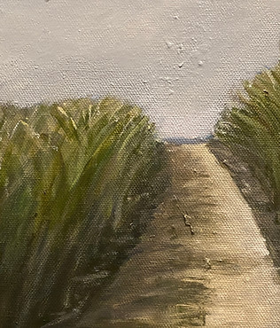shadowed path.jpg