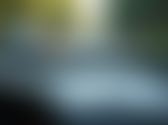 Essential Guide to Washington State Car Insurance Regulations