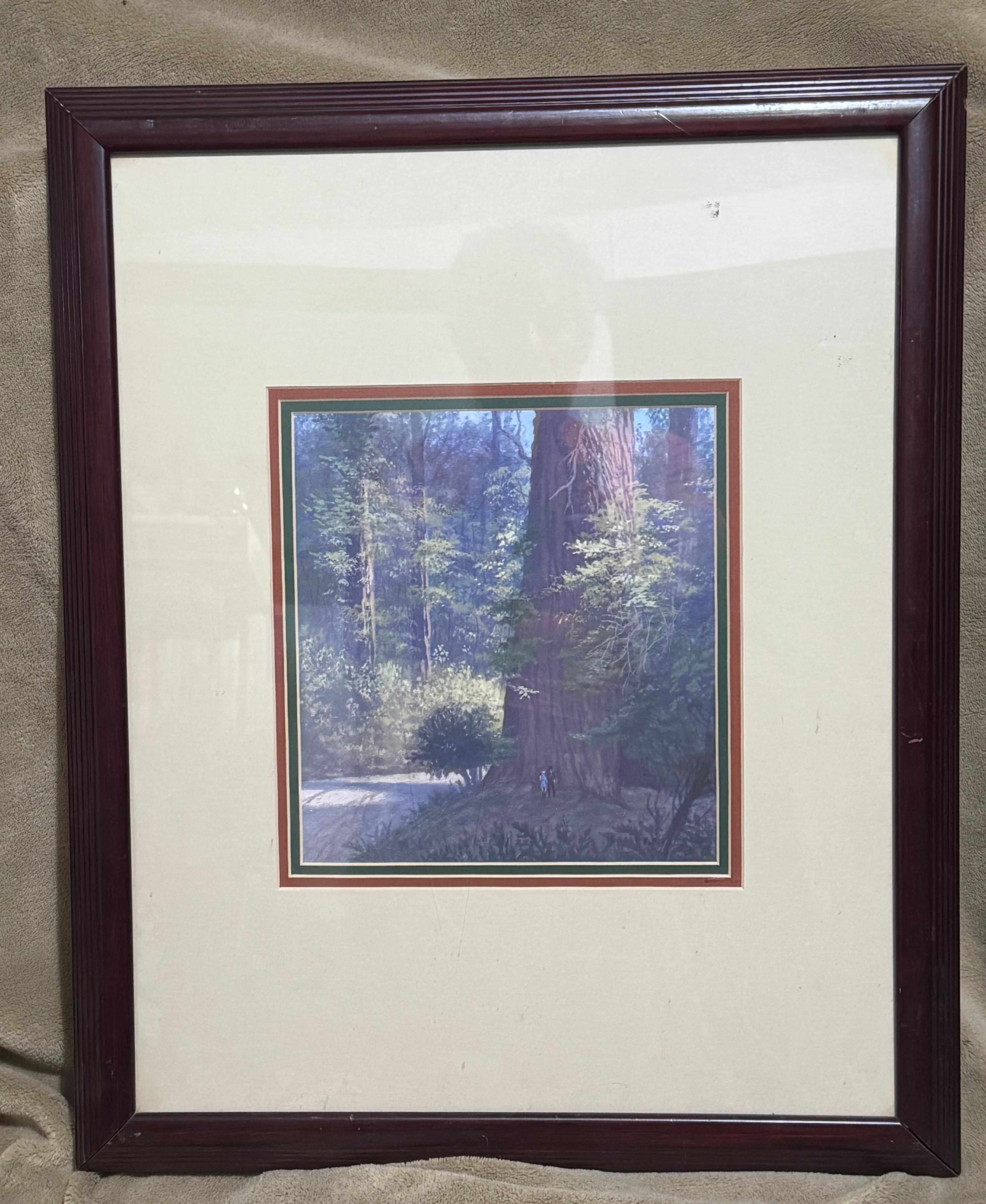 Mc Meekin, Joseph Patrick- Among the Redwoods