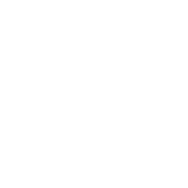 BAI Business Proile .1 (27).png