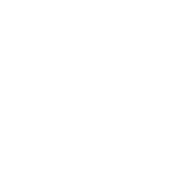 BAI Business Proile .1 (25).png