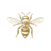 BAI Business Proile .1 (23).png