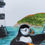 Thumbnail: Paintin' Puffin card