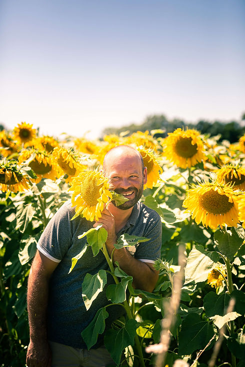 Julien Mabile-champ-tournesol.jpg