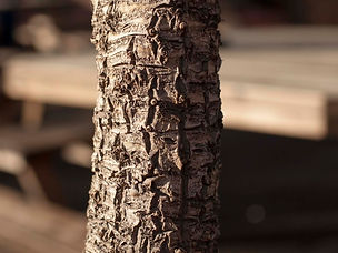 texture.jpg