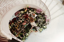 flower shop