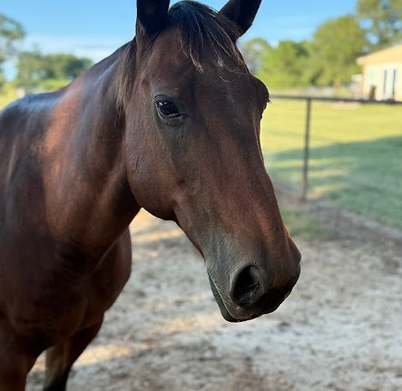 IMG_7652.jpg