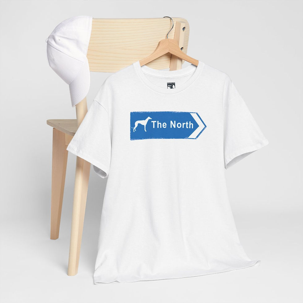 Thumbnail: White t-shirt with blue sign that reads The North rebel without a clue tshirt indiemusictees