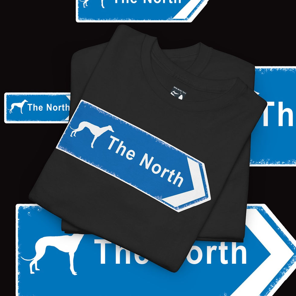 Thumbnail: Black The North greyhound t-shirt with blue sign, indiemusictees apparel