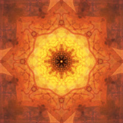 Mojave Land, Joshua Tree CA