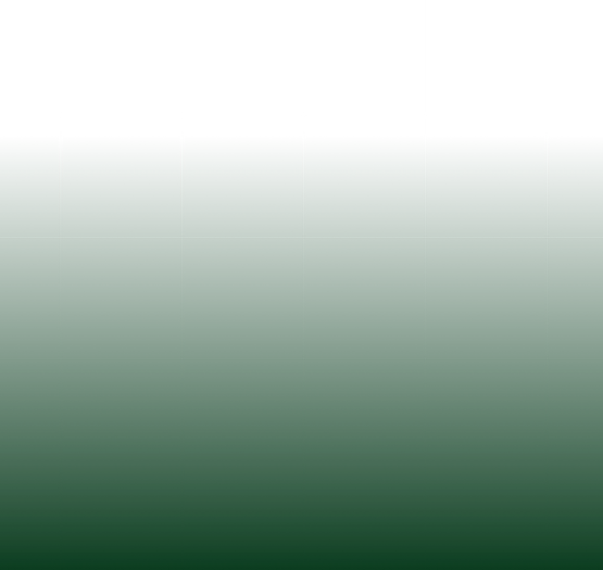 Line Background.png