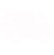 fast-delivery 1.png