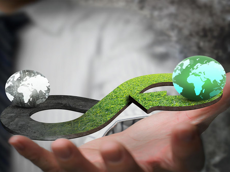 Economía Circular Bajo la Lupa