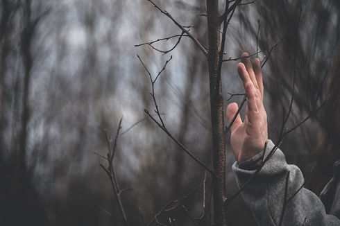 Nele Juchtmans-6.jpg